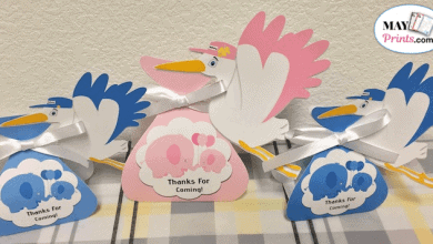 How to Do a Gender Reveal Baby Shower With Stork Party Favors