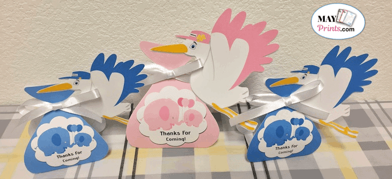 How to Do a Gender Reveal Baby Shower With Stork Party Favors